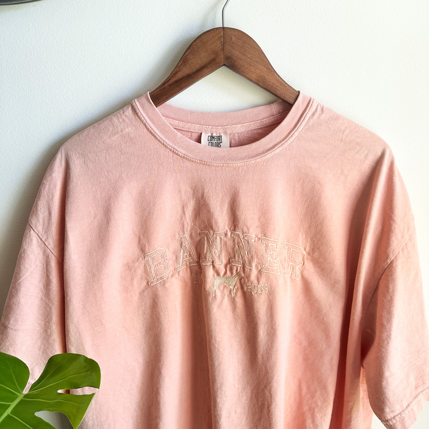 Athletic Dog Name Embroidered Tee Shirt