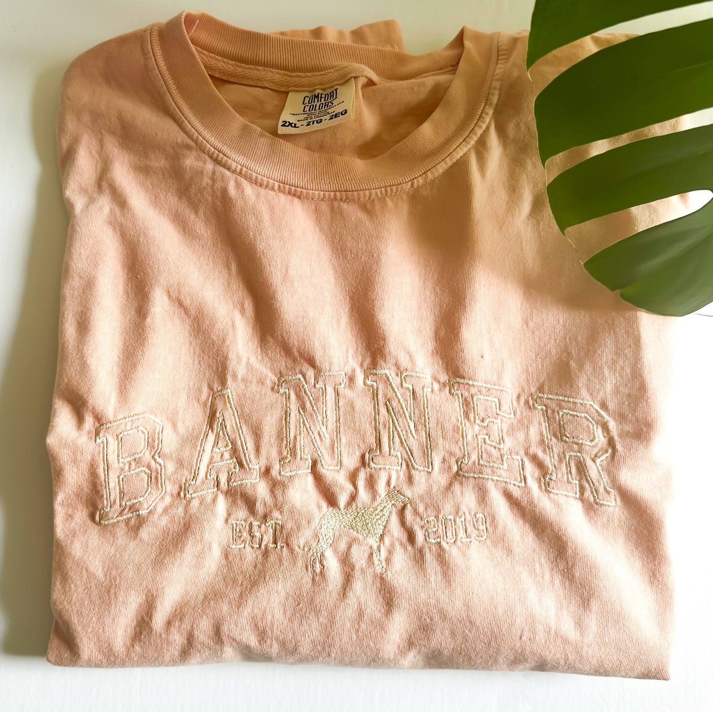 Athletic Dog Name Embroidered Tee Shirt