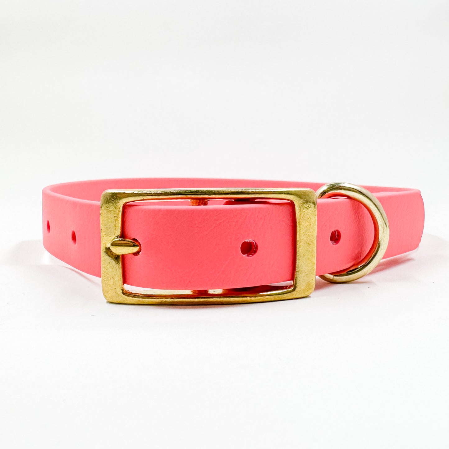 Coral BioThane® Dog Collar