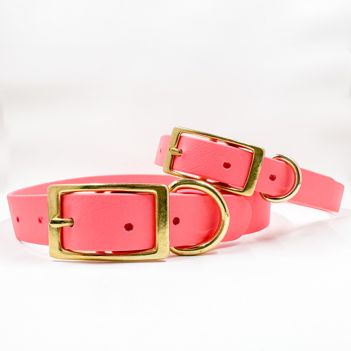 Coral BioThane® Dog Collar