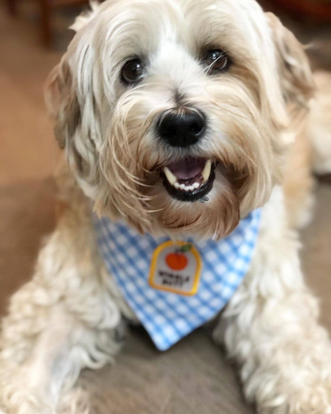 Wiggle Butt iron-on patch for dogs
