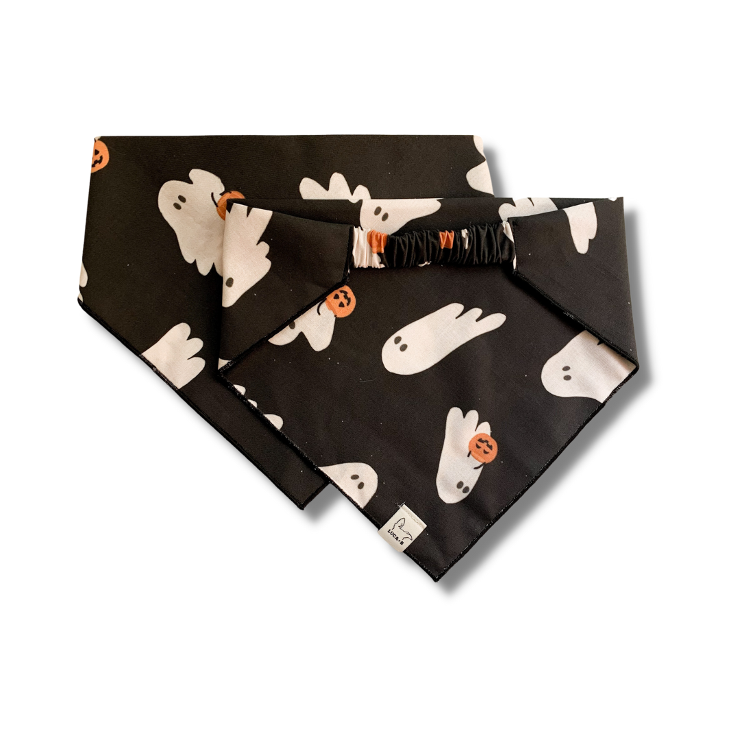 Tricks for Treats Bandana