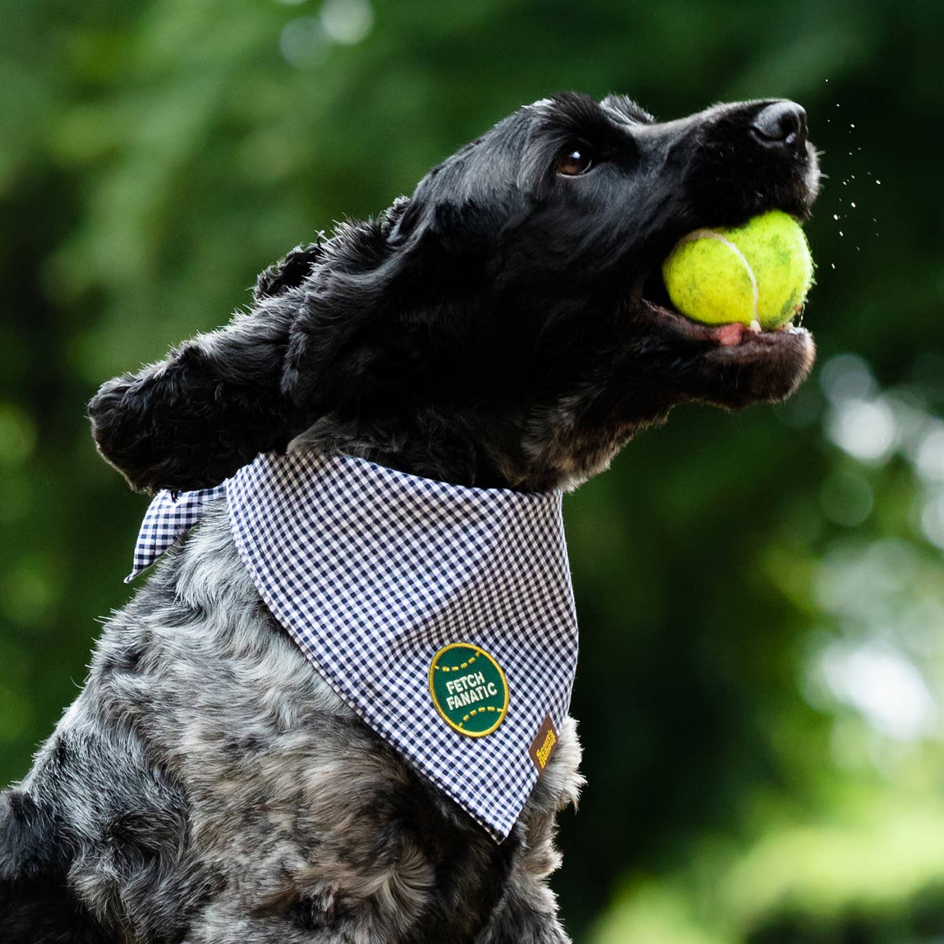 Fetch Fanatic iron- on patch for dogs