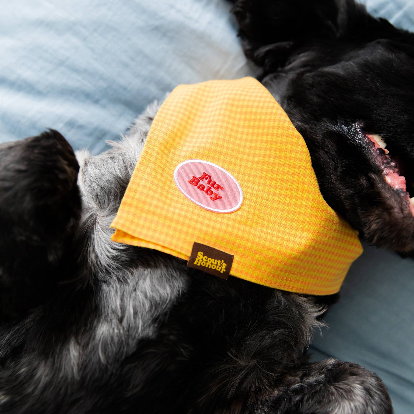 Fur Baby iron-on patch for dogs