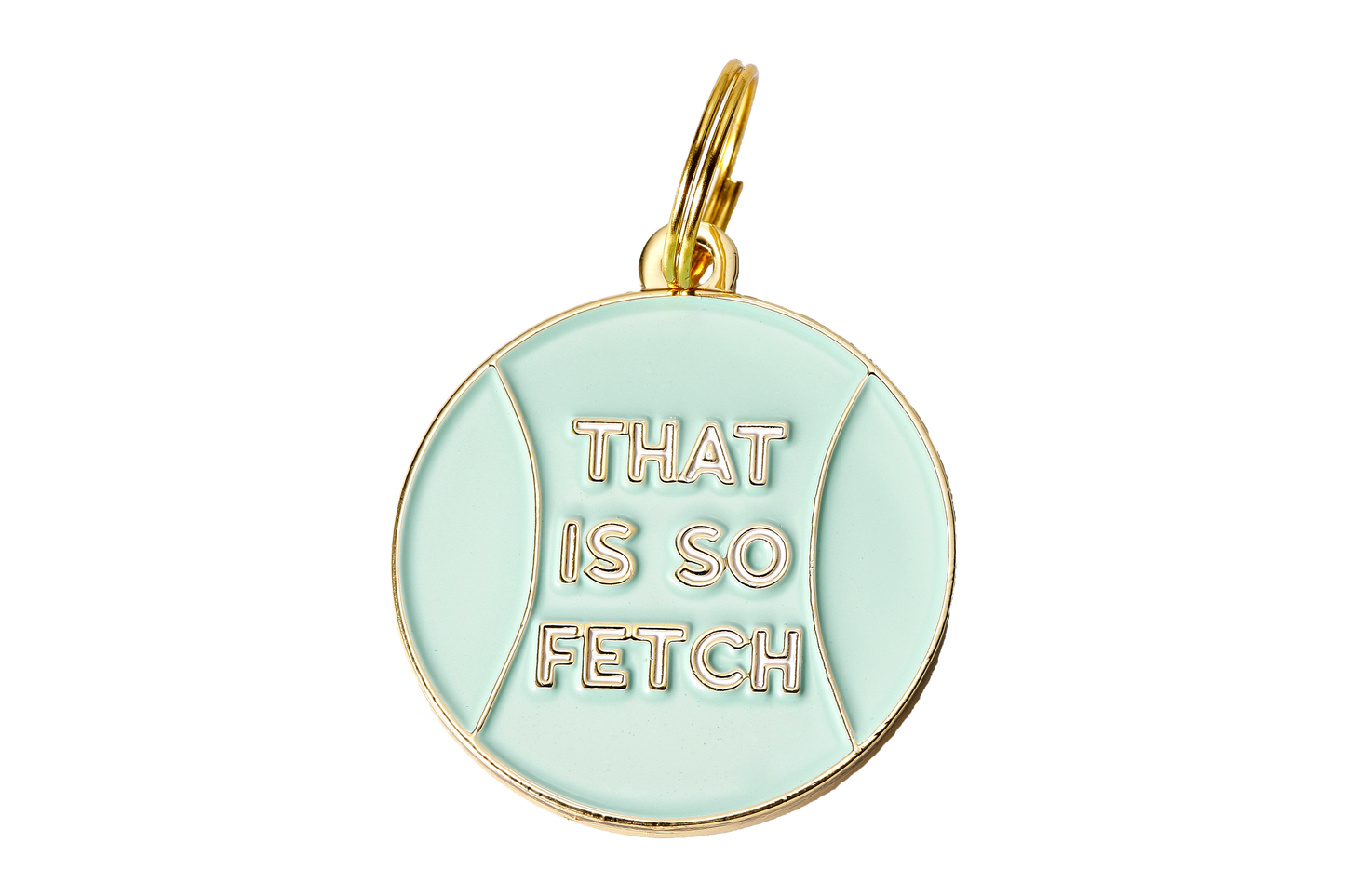 That is So Fetch Pet ID Tag