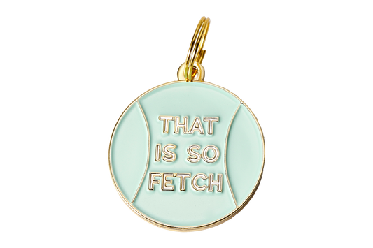 That is So Fetch Pet ID Tag