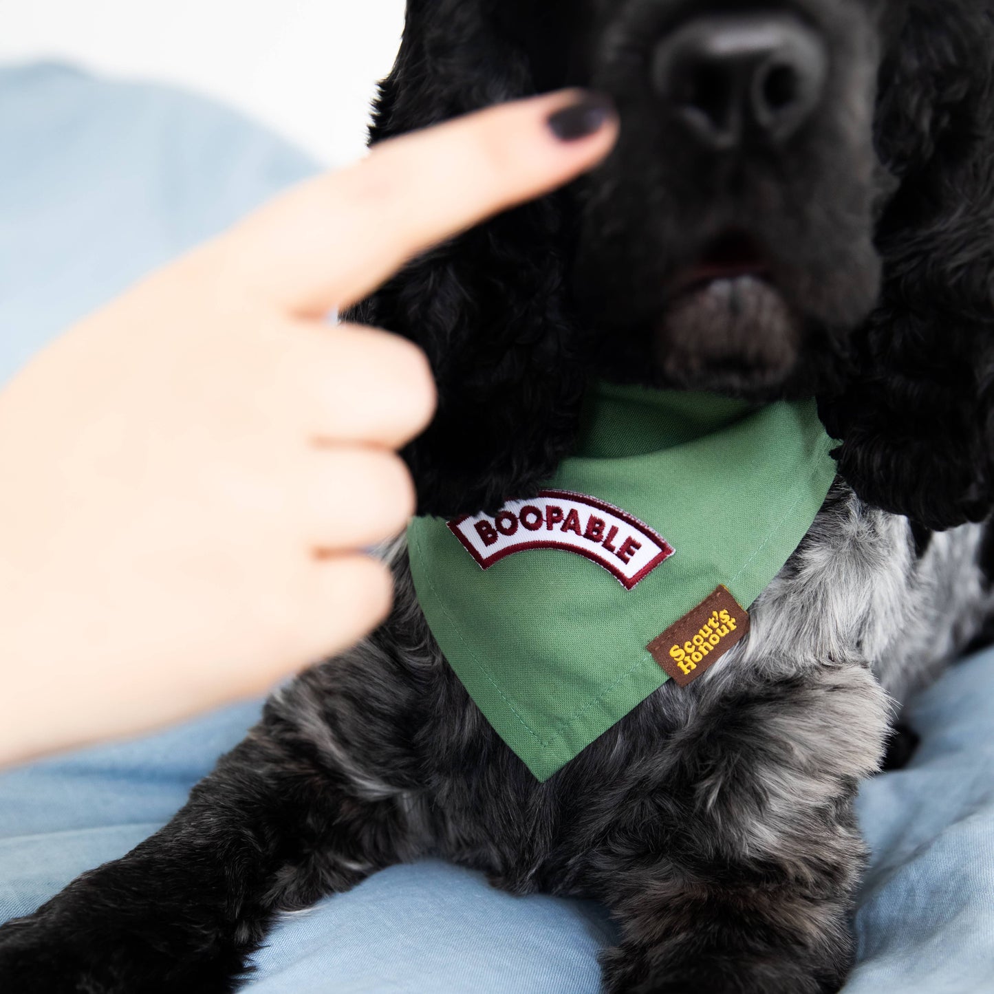 Boopable iron-on patch for dogs