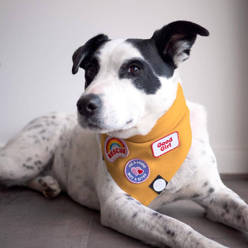 Good Girl iron-on patch for dogs