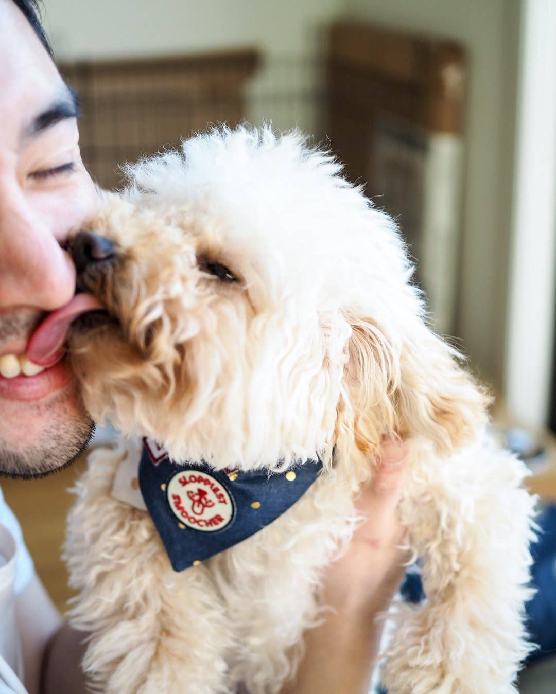 Sloppiest Smoocher iron-on patch for dogs