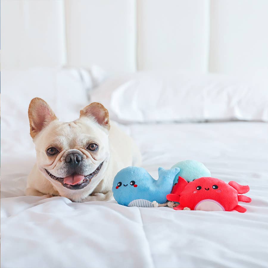 HugSmart Pet - Ocean Pals | Sea Creatures - Dog Plush Toy