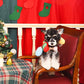 HugSmart Pet - Happy Woofmas | Christmas Light - Rope Toy