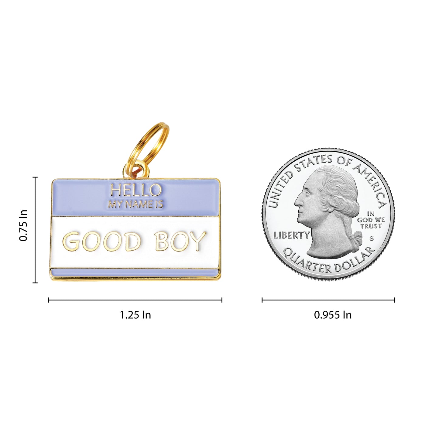 Good Boy Pet ID Tag