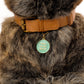 That is So Fetch Pet ID Tag