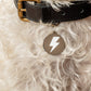 Lightning Bolt Pet ID Tag