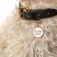 I'm Lost-Mama Pet ID Tag