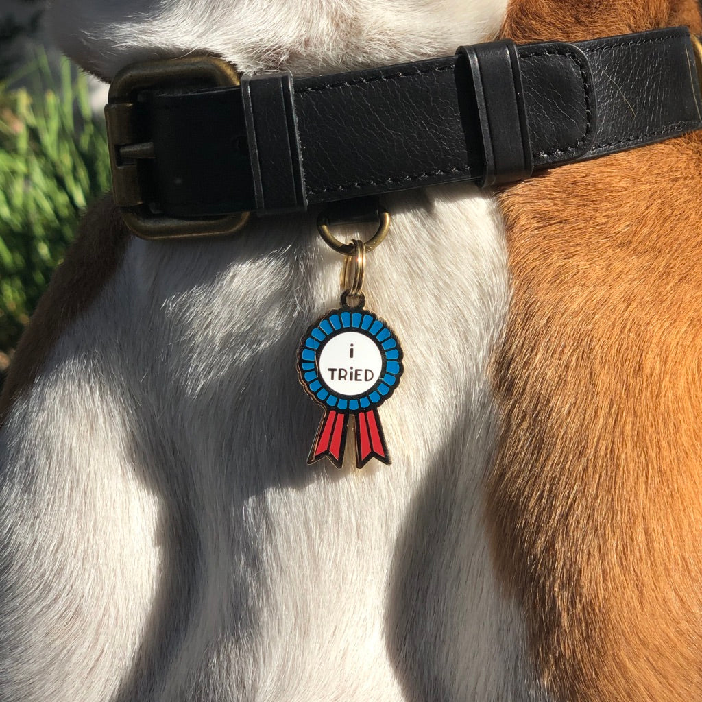 I Tried Pet ID Tag