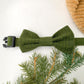 Green Stripe Holiday Bowtie