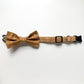 The Eleanor Bowtie