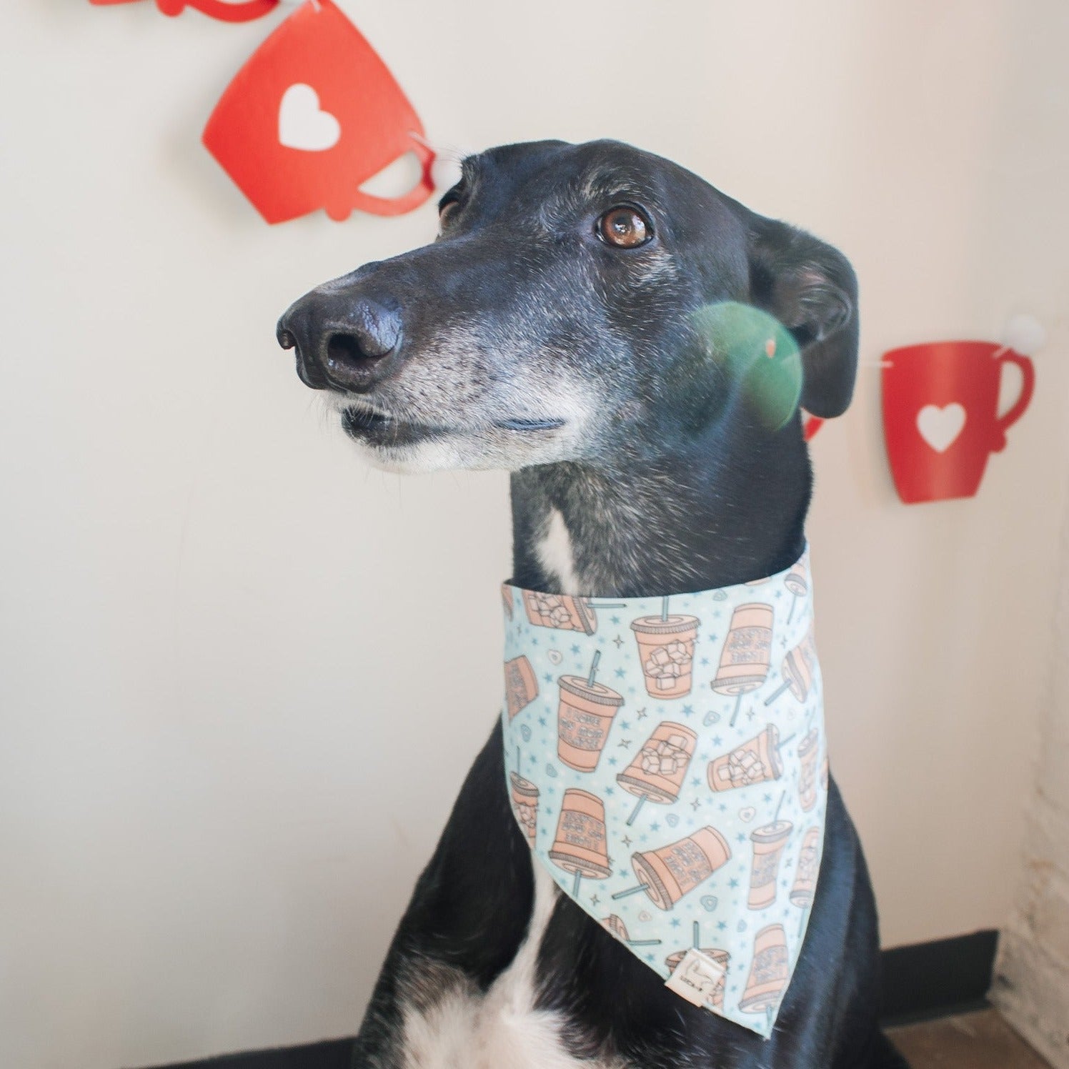 I Love My Mom a Latte Bandana