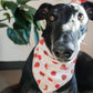 Chocolate Strawberry Bandana