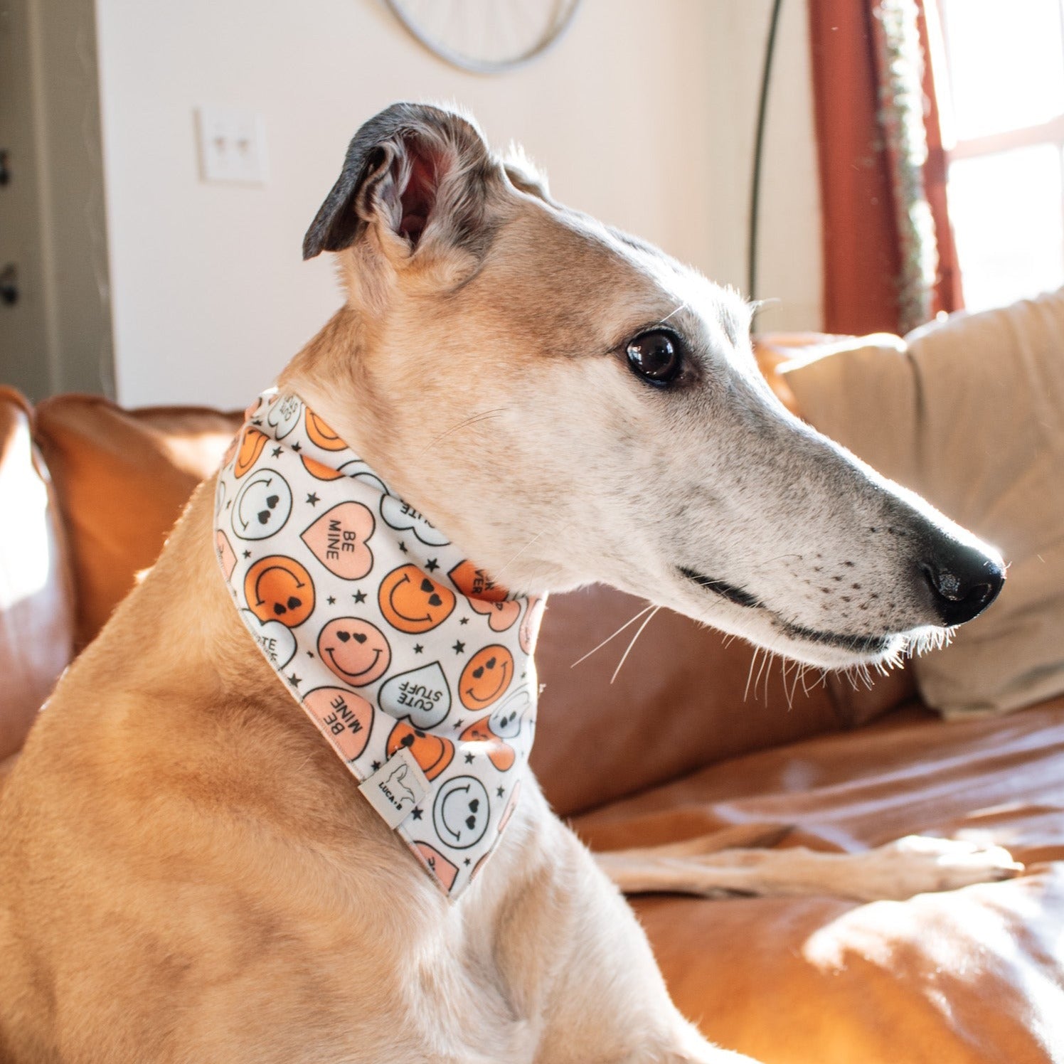 Conversation Hearts Bandana