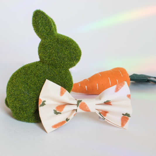 Boho Easter Carrots Dog Bowtie