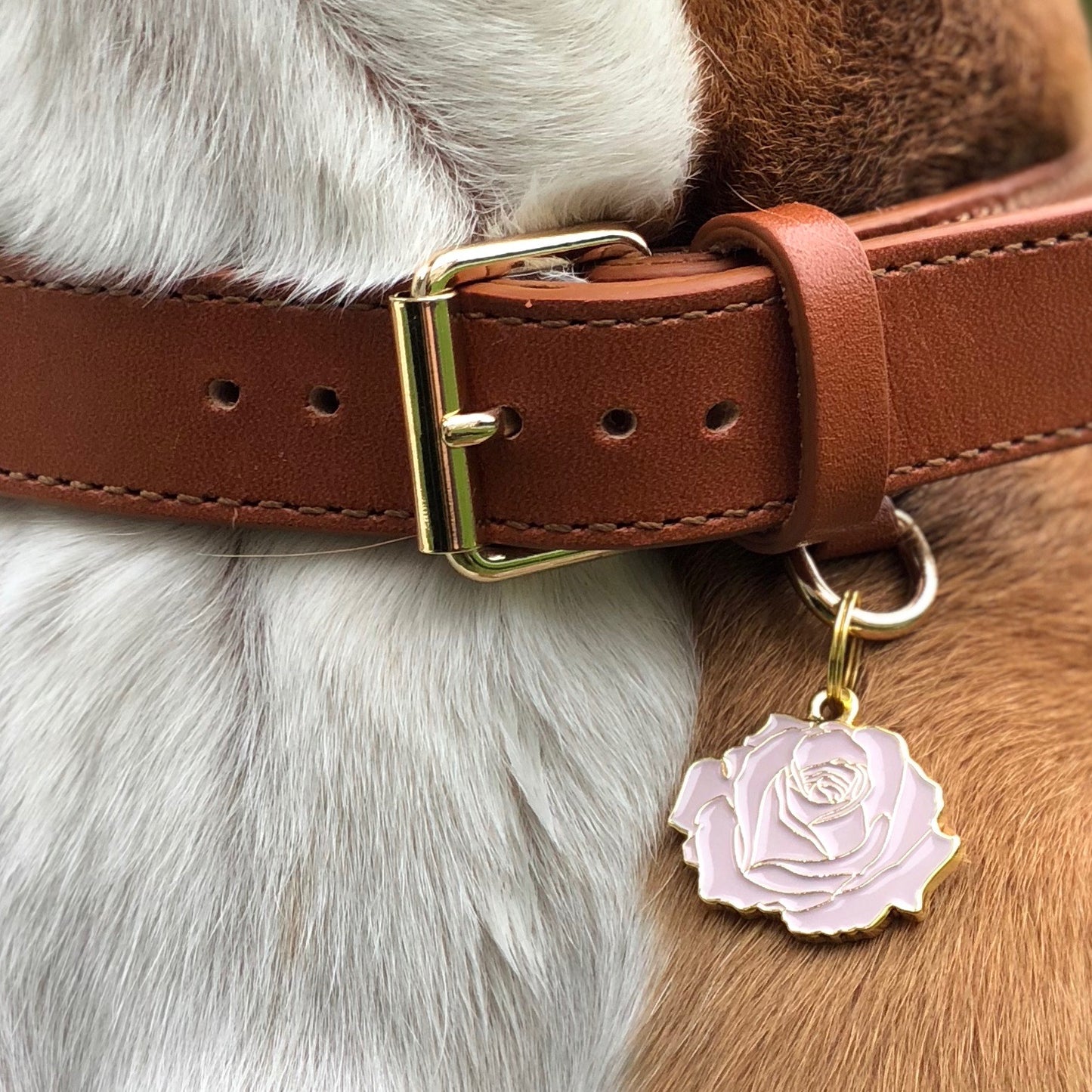 Rose Pet ID Tag