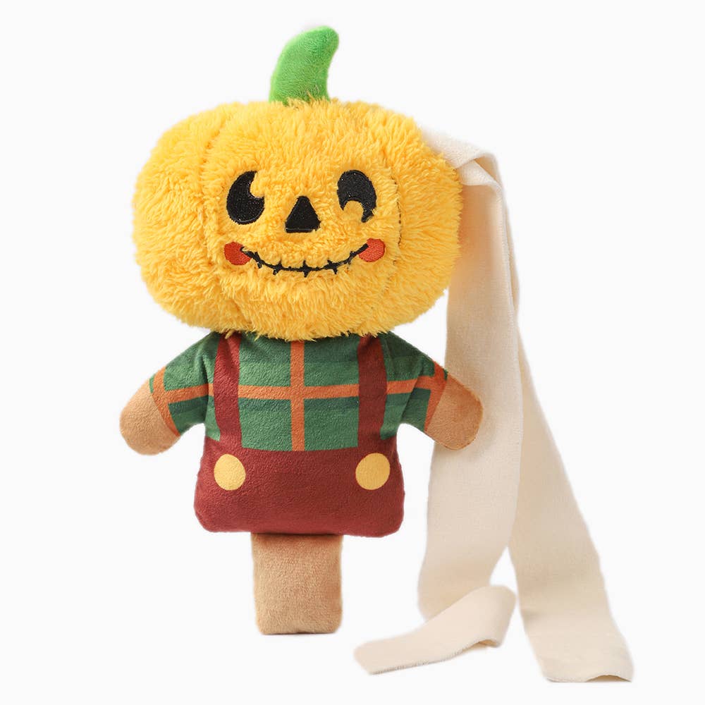 Scarecrow Dog Toy