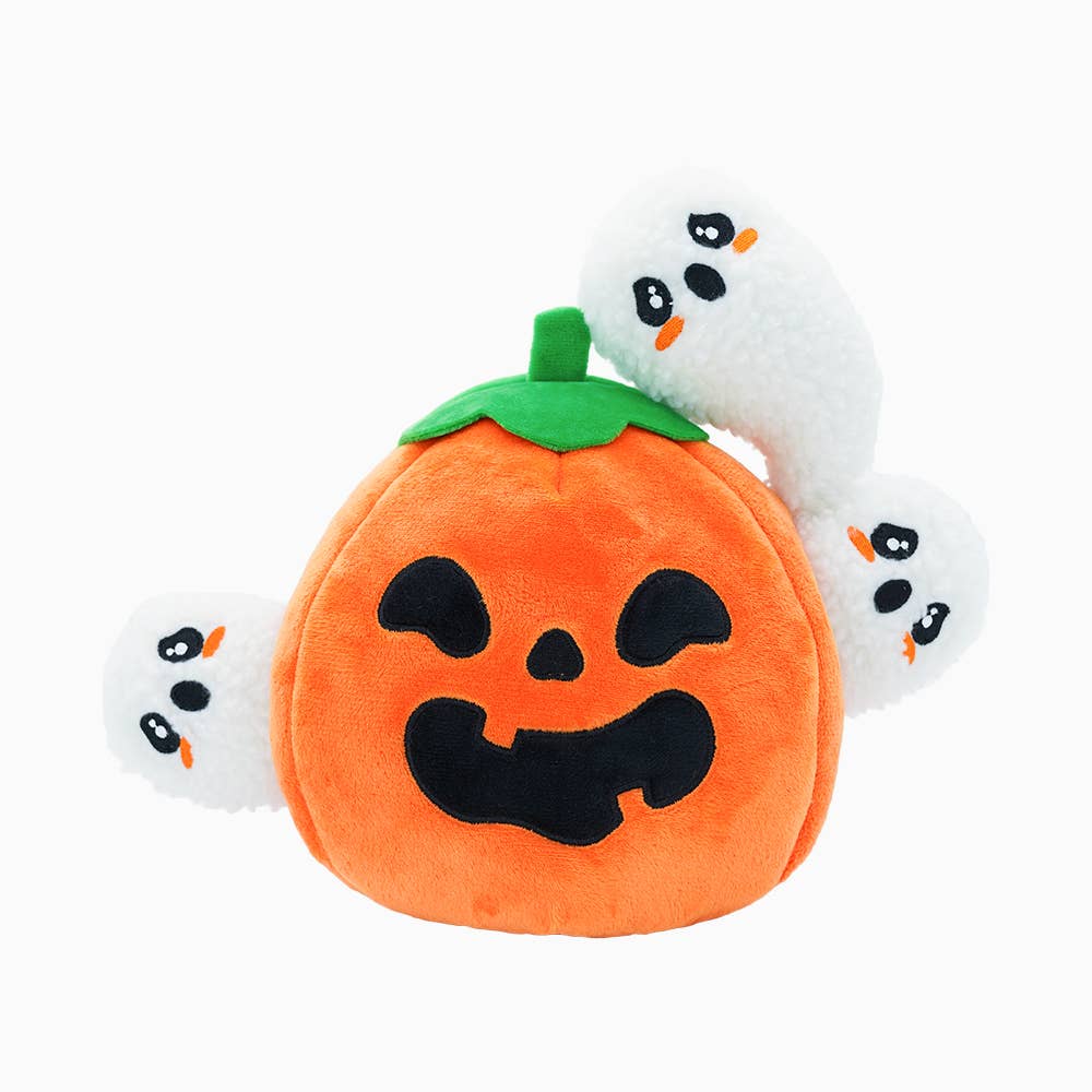 Ghost Pumpkin Dog Toy